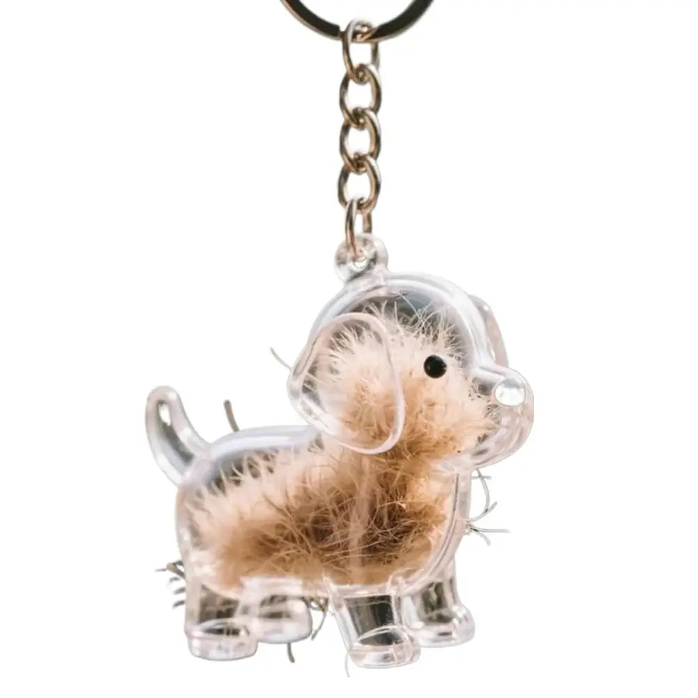 Klarer Tierhaar-Schlüsselanhänger, niedlicher Hund, Fell, Andenkenhalter, kreativer transparenter Tierhaar-Gedenkkollektions-Anhänger für Hund/Katze