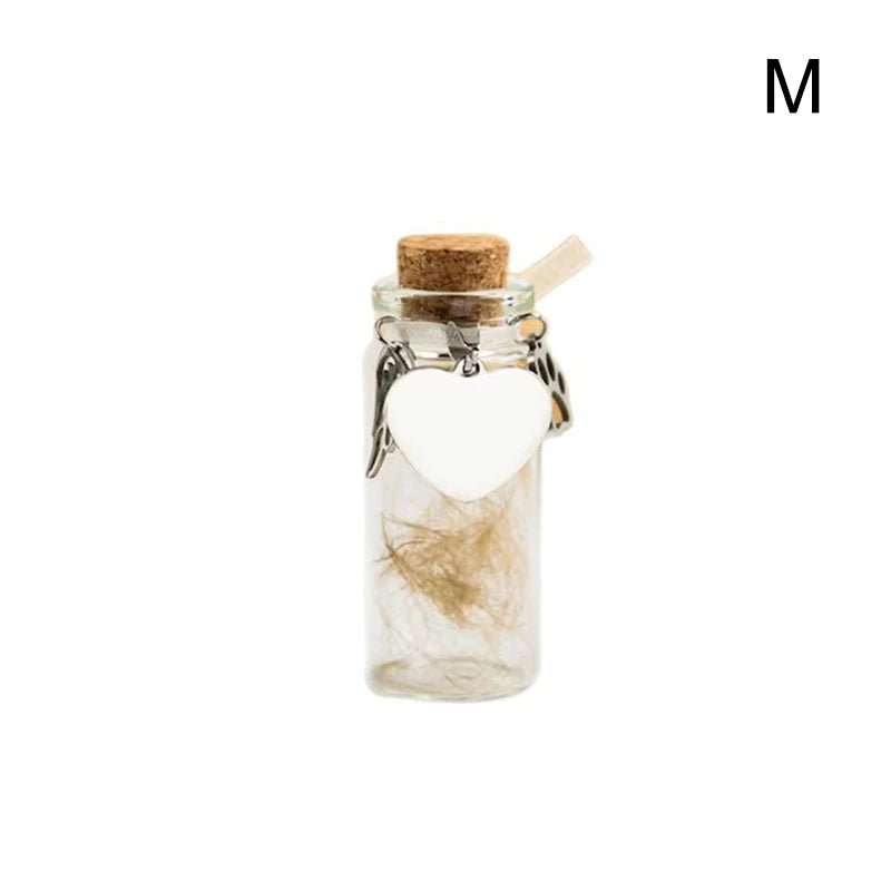 ieniaCC55 SigurPet Gedenkflasche für Haustiere, Haare, Hunde, Katzen, Fell, Andenken, Flaschenaufbewahrung mit 3 silbernen Accessoires, Gedenkurnenbehälter für Haustiere