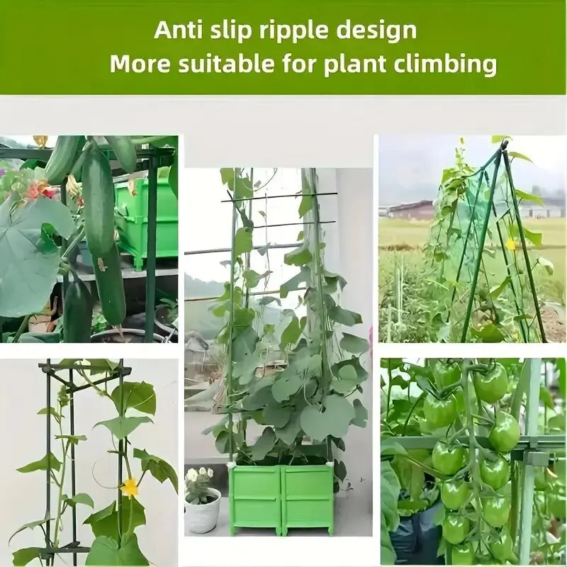 „Sturdy Growth“ 20er-Pack Mehrzweck-Pflanzenstützpfähle – langlebiges Gemüse- und Weinrebenspalier für Tomaten, Gurken, Trauben