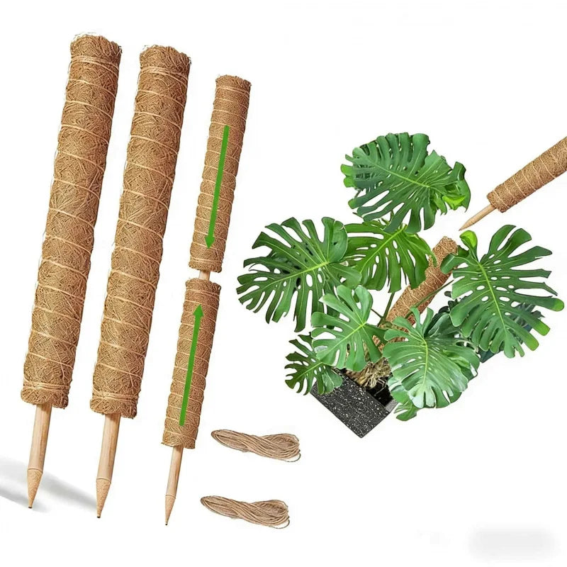 2-4er-Pack Grüne Radieschen-Efeu-Kletterhilfe aus natürlicher Kokosnuss-Moos-Schale für Zimmerpflanzen, stapelbare Rankhilfe zur Unterstützung von Grünpflanzen