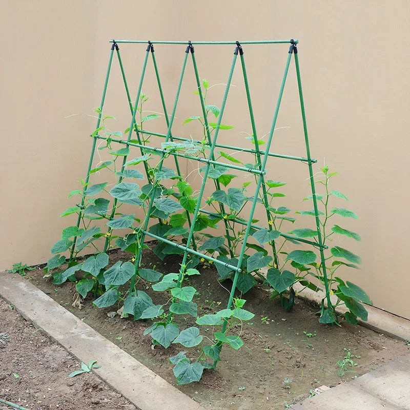 Langlebige Gartenpfähle für Kletterpflanzen, Rankenstützstab, unverzichtbar für Tomaten, Trauben, Gurken, Passionsfrucht