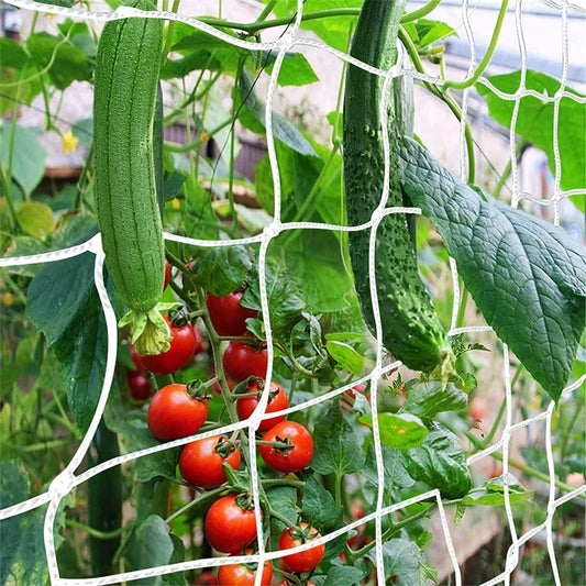 1 Packung Gitter, Hochleistungs-Garten pflanzen gitter für Kletter pflanzen, Outdoor Indoor Grow Net für Bohnen Tomaten