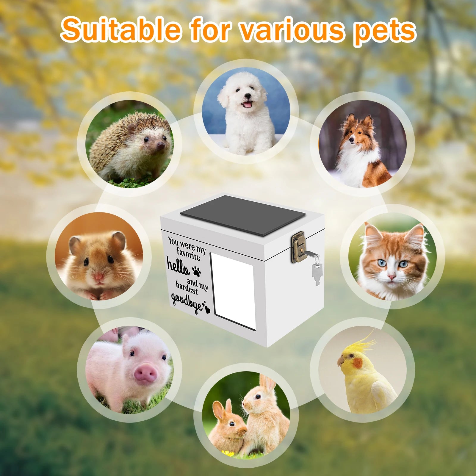 Hölzerne Haustier-Gedenkurne, DogCremation Urne mit Fotorahmen, Schlüssel und Schloss, personalisierte Haustier-Andenken-Memory-Box für Asche von Hunde oder Katzen