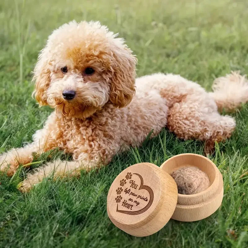 Hund Haar Andenken Box Holz Pet Haar Andenken Box Langlebige Pet Memorial Box Zahn Sammlung Memorial Box Für Hund Und Katze Asche