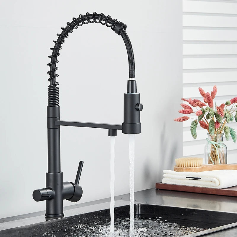 Schwarz Gefilterte Küche Wasser Filter Küche Armaturen Dual Auslauf Filter Wasserhahn Mixer Wasser Reinigung Wasser Kran Für Küche