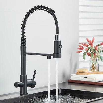 Schwarz Gefilterte Küche Wasser Filter Küche Armaturen Dual Auslauf Filter Wasserhahn Mixer Wasser Reinigung Wasser Kran Für Küche
