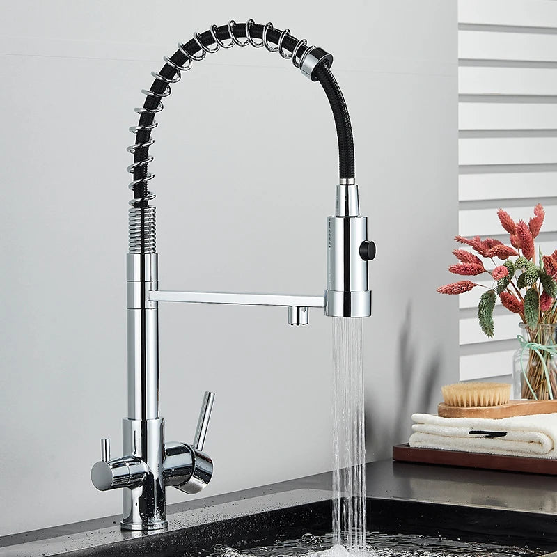 Schwarz Gefilterte Küche Wasser Filter Küche Armaturen Dual Auslauf Filter Wasserhahn Mixer Wasser Reinigung Wasser Kran Für Küche