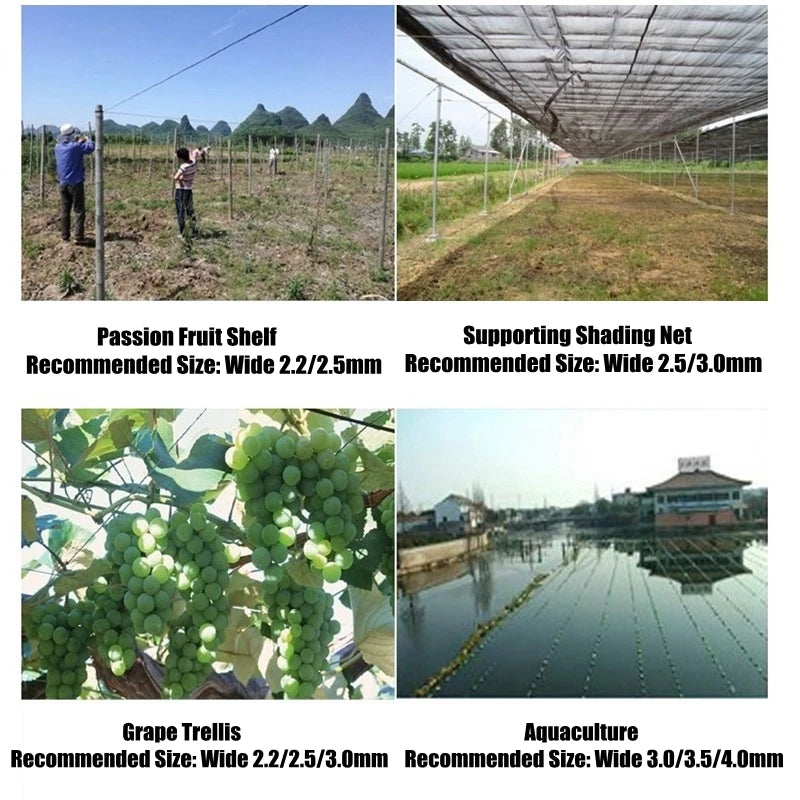 50m Kunststoff Stahl Draht Landwirtschaft Gewächshaus Gedrückt Film String Shading Net Garten Anlage Klettern Reben Halter Unterstützung Linie