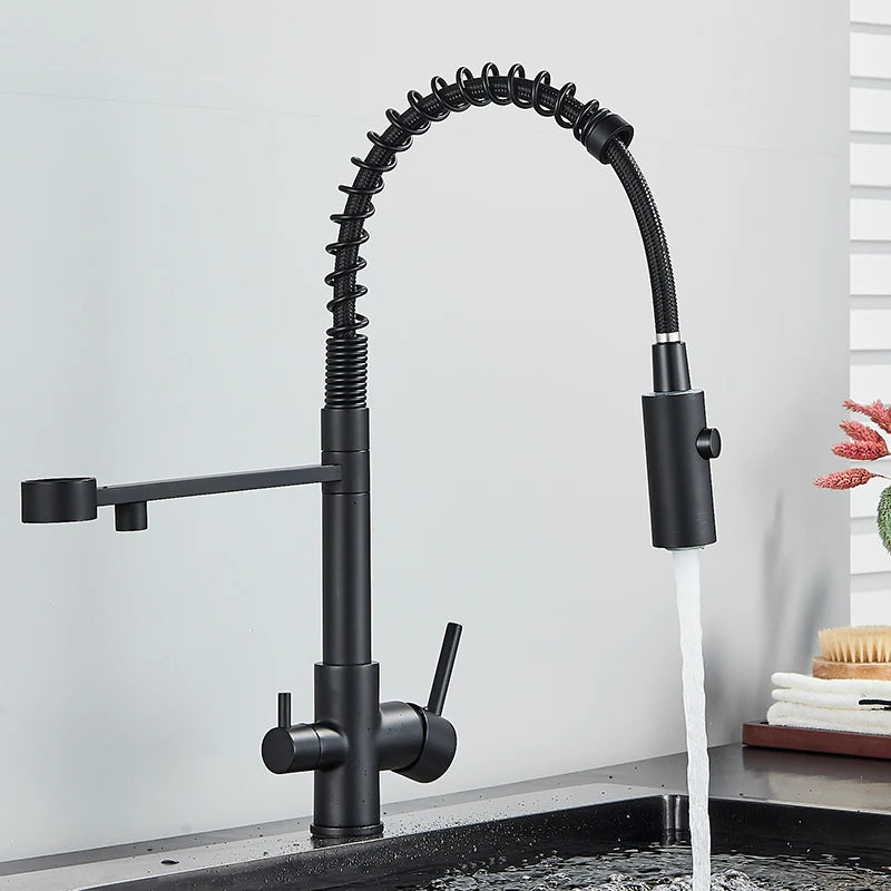 Schwarz Gefilterte Küche Wasser Filter Küche Armaturen Dual Auslauf Filter Wasserhahn Mixer Wasser Reinigung Wasser Kran Für Küche