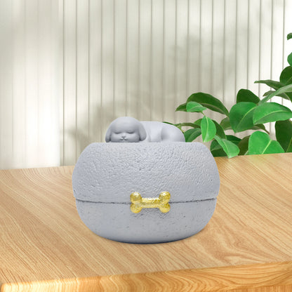 Pet Urn Cremation Memorial Urn Organizer Keepsake Case Storage Urn Box Hold Precious Memorable Casket Memorial Keepsake Box
