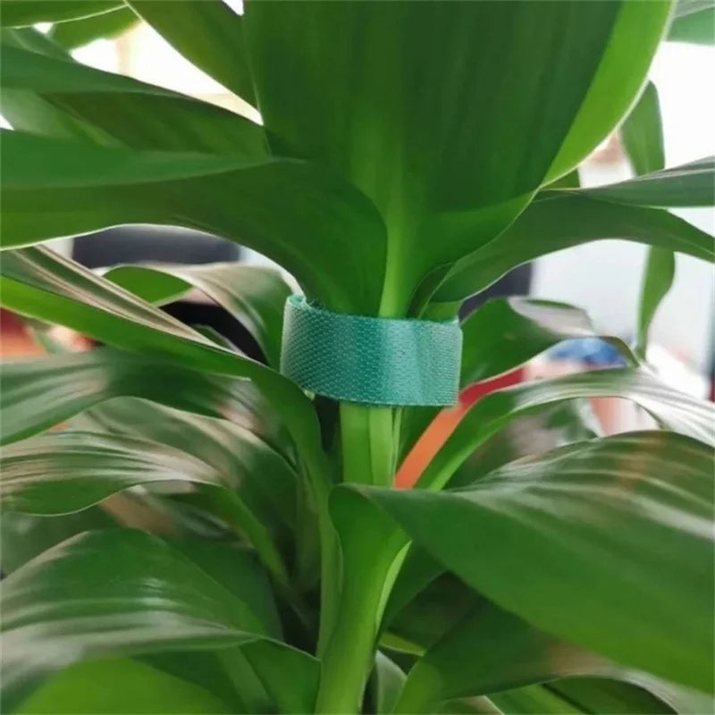 1/2/5 Rollen 10 m grüne Gartenschnur Pflanzenbinder Nylon Pflanzenverband Garten Hakenschlaufe Bambusrohr Wrap Unterstützung Gartenzubehör