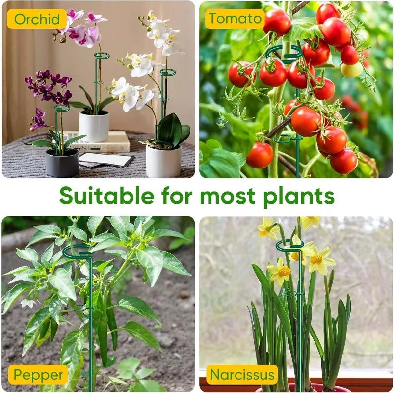 35/45/55 cm Gartenstütze Pfahlring Metall Gartenpflanzenstütze Einzelstamm Strauchhalter für Pflanzen Rose Blumen Gemüse Rebe