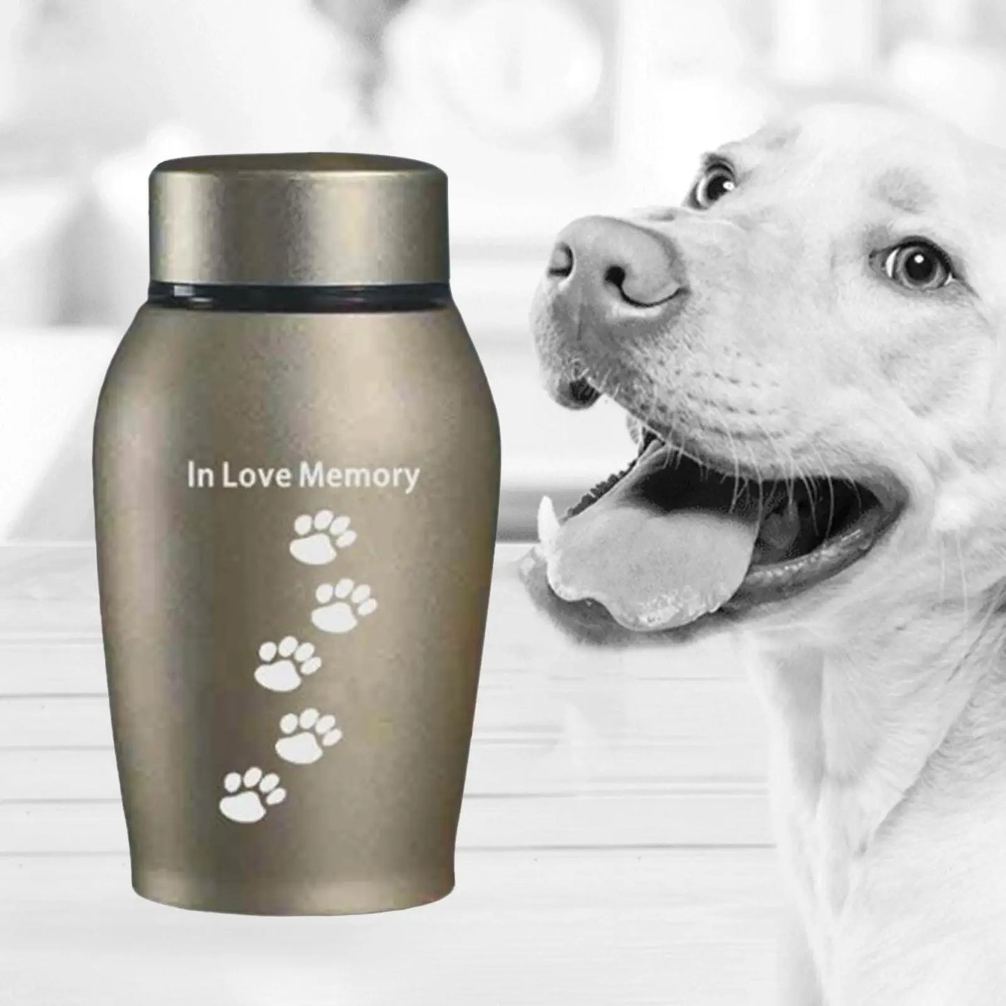 Cremation Memorial Urn, Unforgettable Loose Memorial Urn for Pets, Gift, Funeral, Cremation Urn, Storage, Pet Urns for Dogs, Ashes, Keeps Memories