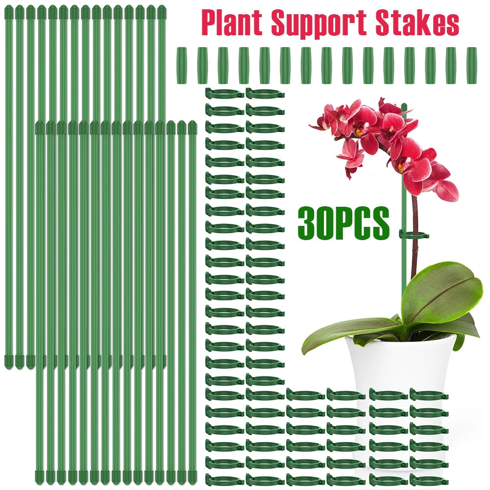 Pflanzenstützpfähle, verstellbare Pflanzenstützreifen mit einzelnem Stiel und Ring, Garten-Einzelstange, Amaryllis-Pflanzenstab für den Innenbereich