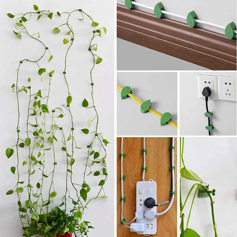10/30/50Pcs-Home Garten Pflanze Klettern Wand Halterung Clips Rattan Reben Fixer Selbst-Kleber anlage Klettern Wand Feste Schnalle Haken