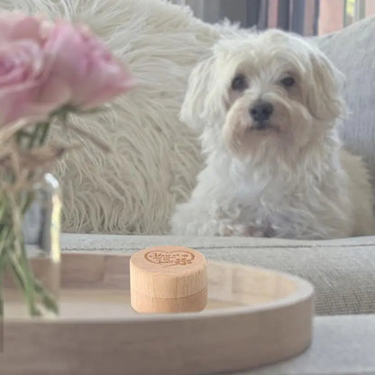 Hund Gedenk box für Verlust Hund Katze Haar Asche Behälter haltbare Haustier Aufbewahrung sbox für Hund und Katze Asche Holz Tierhaar Andenken