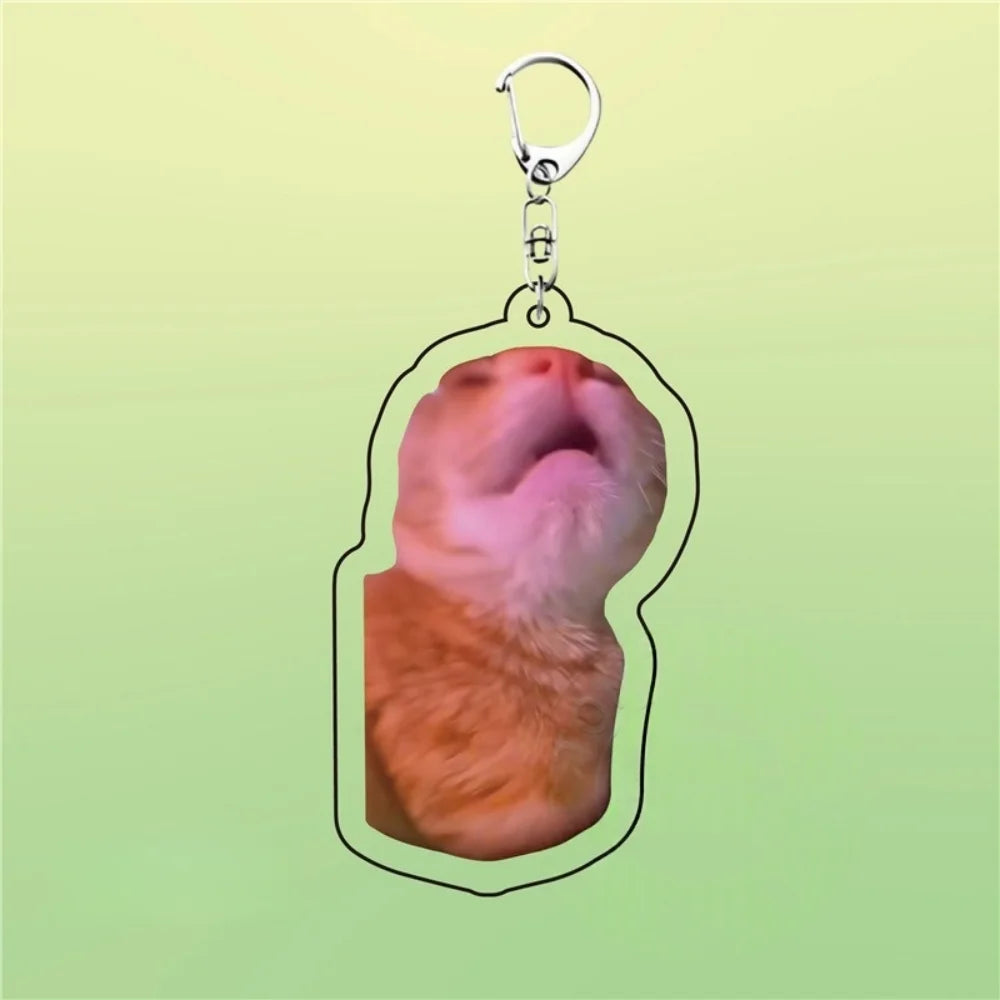 Huh Katzen-Schlüsselanhänger, Meme-Schlüsselanhänger, Fanny-Katze, Schlüsselanhänger, sprechende Katzen, verwirrte Katze, Anhänger, süßes Geschenk