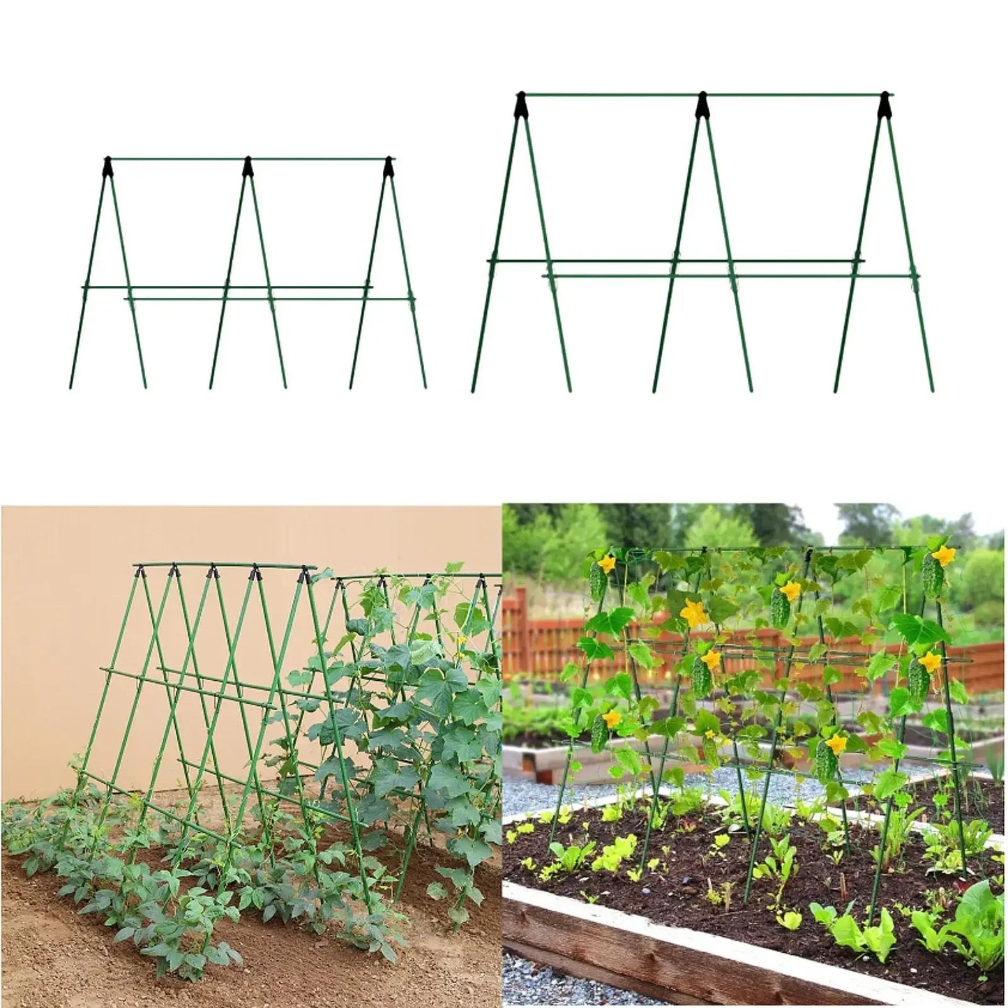 Langlebige Gartenpfähle für Kletterpflanzen, Rankenstützstab, unverzichtbar für Tomaten, Trauben, Gurken, Passionsfrucht