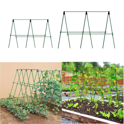 Langlebige Gartenpfähle für Kletterpflanzen, Rankenstützstab, unverzichtbar für Tomaten, Trauben, Gurken, Passionsfrucht