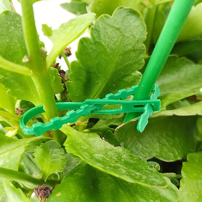 Wiederverwendbare, verstellbare Kunststoff-Pflanzenkabelbinder für Garten, Weinreben, Baum, Sträucher, Stützverschluss, Verriegelung, Nylon, Reißverschluss, Organizer-Werkzeuge