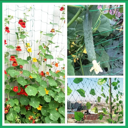Hochwertiges Garten-Kletternetz aus Starkem Nylon für Kletterpflanzen, Luffa, Morgenblumen, Blumen und Gurkenranken