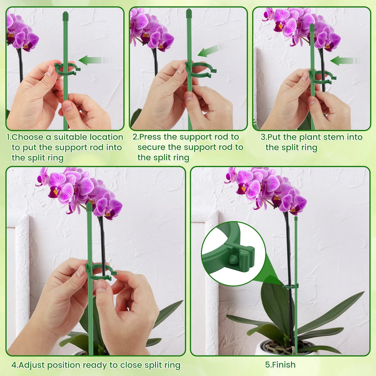 Pflanzenstützpfähle, verstellbare Pflanzenstützreifen mit einzelnem Stiel und Ring, Garten-Einzelstange, Amaryllis-Pflanzenstab für den Innenbereich