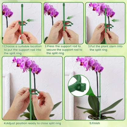 Pflanzenstützpfähle, verstellbare Pflanzenstützreifen mit einzelnem Stiel und Ring, Garten-Einzelstange, Amaryllis-Pflanzenstab für den Innenbereich