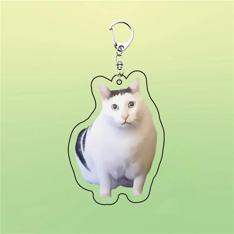 Huh Katzen-Schlüsselanhänger, Meme-Schlüsselanhänger, Fanny-Katze, Schlüsselanhänger, sprechende Katzen, verwirrte Katze, Anhänger, süßes Geschenk