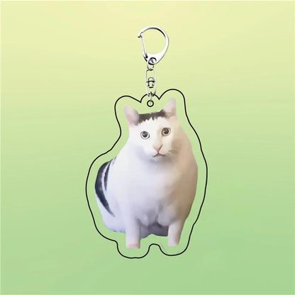 Huh Katzen-Schlüsselanhänger, Meme-Schlüsselanhänger, Fanny-Katze, Schlüsselanhänger, sprechende Katzen, verwirrte Katze, Anhänger, süßes Geschenk