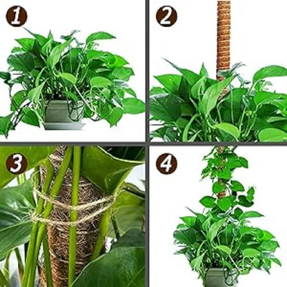 Pflanzenstütze Moosstange Kokosfaser-Kletterstäbe Biegbarer Verlängerungsstab für Monstera, Gründill und Rankpflanzen im Innenbereich – Gartenzubehör