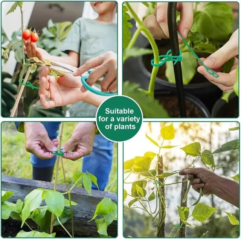 Verstellbare Pflanzenkabelbinder, wiederverwendbare selbstverriegelnde Gartenbinder, Ranken- und Strauchstützen, Befestigungselemente, Tomatenstiel-Reißverschluss-Kabelbinder