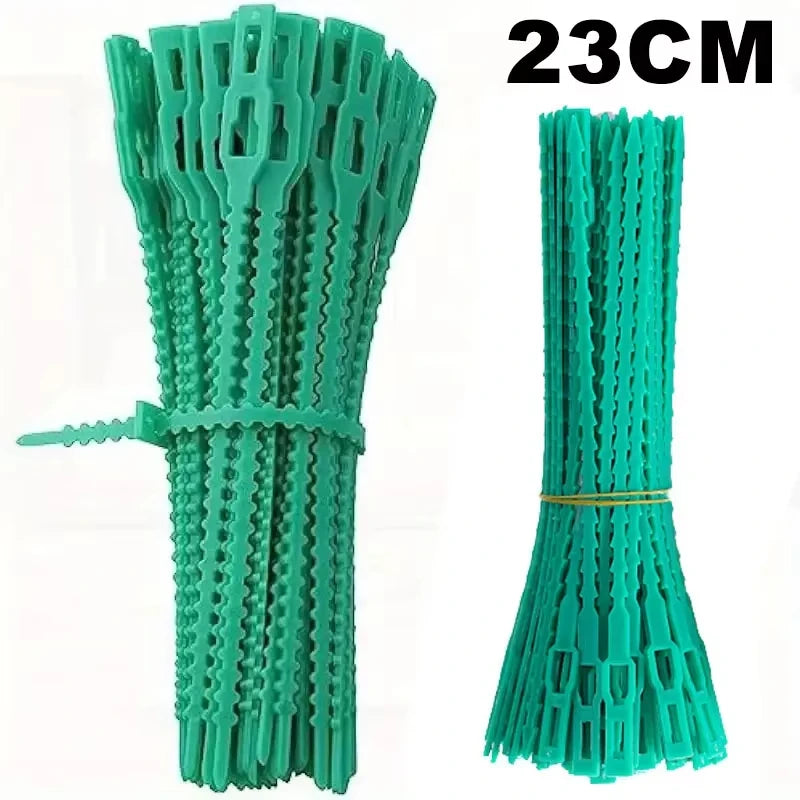 Wiederverwendbare, verstellbare Kunststoff-Pflanzenkabelbinder für Garten, Weinreben, Baum, Sträucher, Stützverschluss, Verriegelung, Nylon, Reißverschluss, Organizer-Werkzeuge
