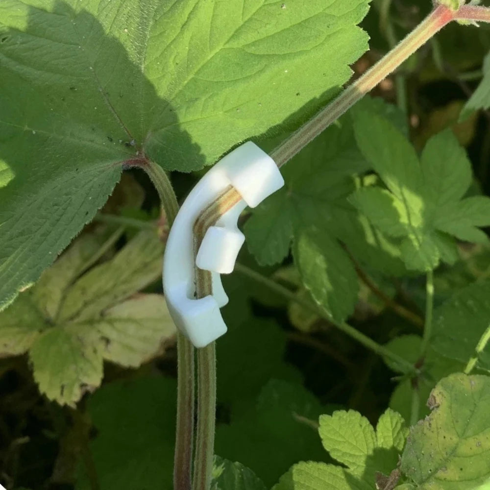10–100 Stück 90-Grad-Pflanzenbender, Trainer, Wachstumsmanipulation, Formen für Pflanzen, Clips, Biegezweigklemmen, Astzubehör