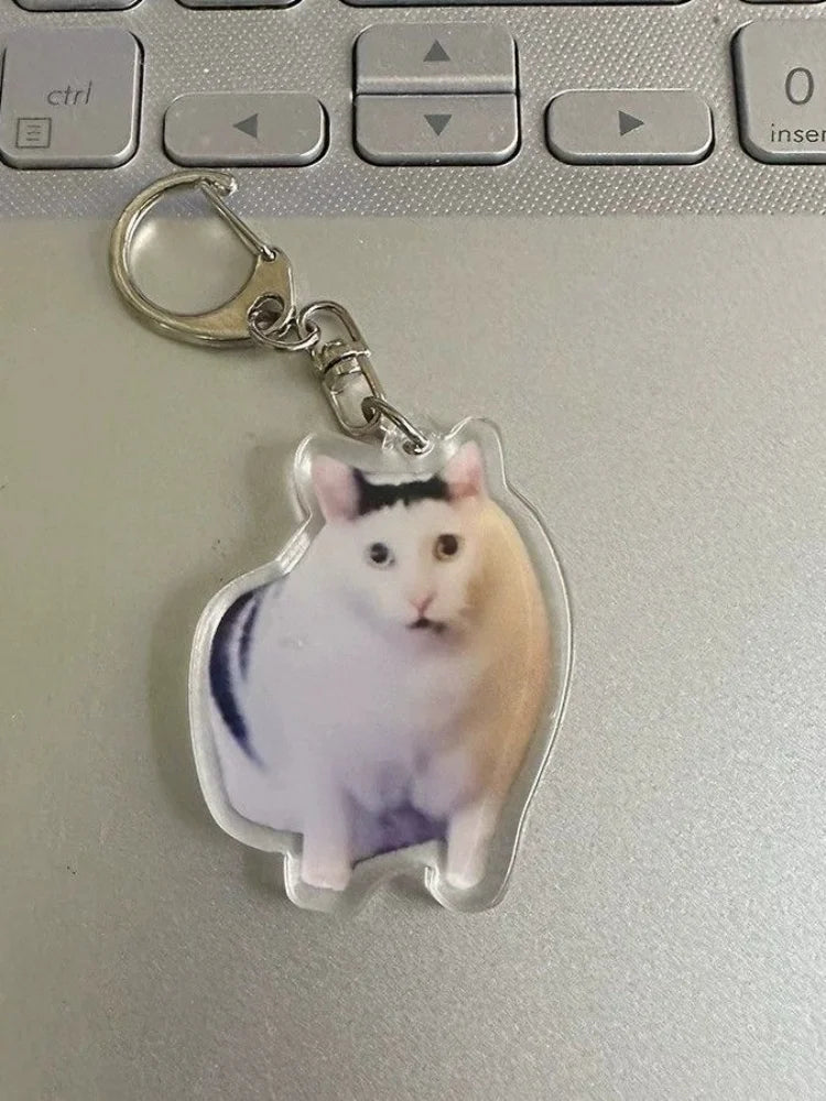 Huh Katzen-Schlüsselanhänger, Meme-Schlüsselanhänger, Fanny-Katze, Schlüsselanhänger, sprechende Katzen, verwirrte Katze, Anhänger, süßes Geschenk
