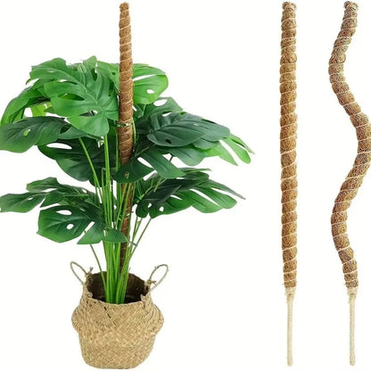 Biegbare Kokosfaser-Moosstange Pflanzenkäfig Erstklassige Neue Kletterstütze-Erweiterung für Monstera zum Aufwärtswachsen