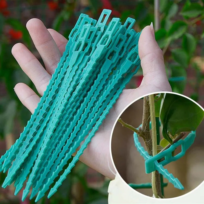Verstellbare Pflanzenkabelbinder, wiederverwendbare selbstverriegelnde Gartenbinder, Ranken- und Strauchstützen, Befestigungselemente, Tomatenstiel-Reißverschluss-Kabelbinder