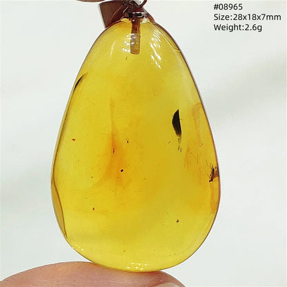 Natürlicher gelber Insekt-Bernstein-Anhänger für Damen und Herren, Bernstein-Insekt, baltischer Edelstein, Halskette, Schmuck, Heilung, AAAAA