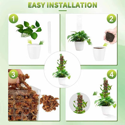 Kletterpflanzen-Wassermoos-Säule: Indoor-Kunststoff-Moosstange für Sphagnum-Unterstützung, Topfpflanzen-Stäbe für Wachstum im Garten