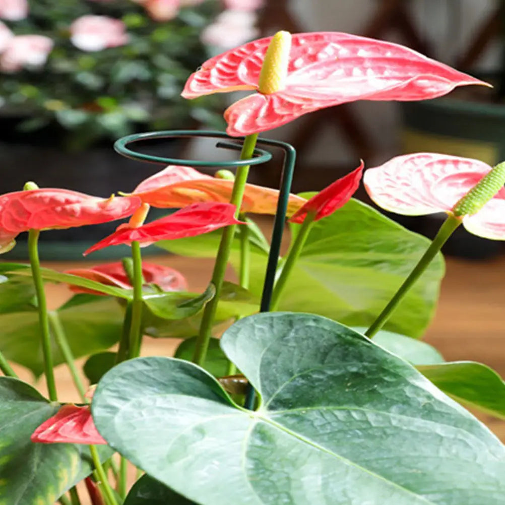 5 Stück Eisen-Kunst-Pflanzenstützen, Einzelstiel-Blumenstützen für Rosen, Orchideen, Pfingstrosen, Tulpen, Tomaten, Gemüse und Gartenarbeit