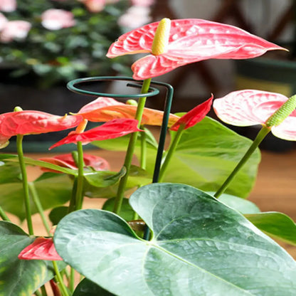 5 Stück Eisen-Kunst-Pflanzenstützen, Einzelstiel-Blumenstützen für Rosen, Orchideen, Pfingstrosen, Tulpen, Tomaten, Gemüse und Gartenarbeit