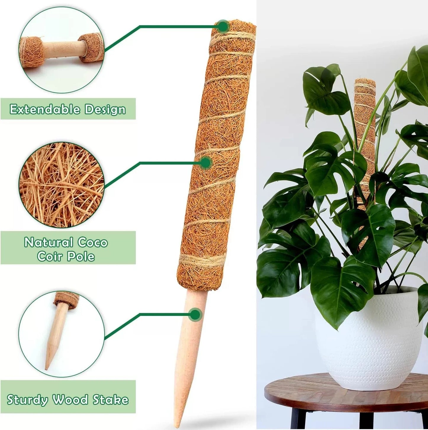 5/10 Stück Pflanzen-Moos-Coir-Stange, Kletterhilfe für Pflanzen, Verlängerung für Palmenranken, Stab für Innenbereich, Balkon, Garten, Hof, Blumendekoration