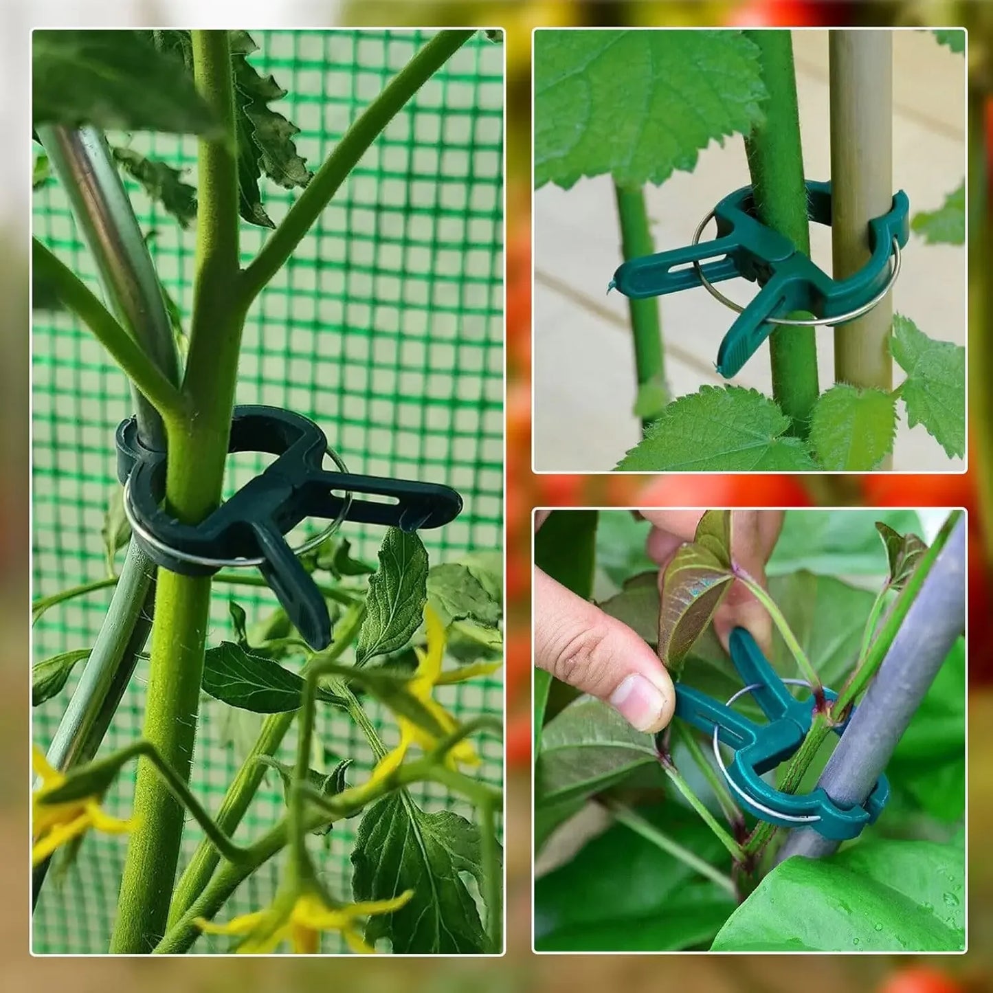 Feste Pflanzenklammern, wiederverwendbare Gewächshaushalterung zum Befestigen von Blumenreben, Gemüse, Tomaten, Befestigungselement, Gartenbedarf