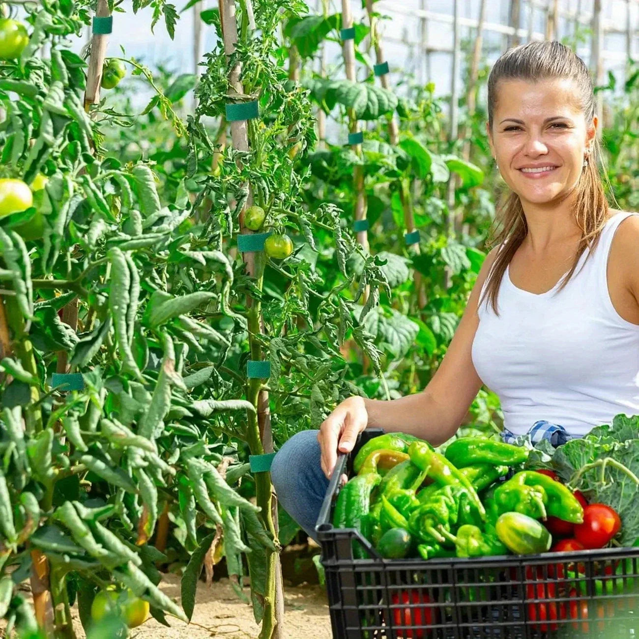 Gartenband, Nylon-Kabelbinder für Pflanzen, Blumen, wachsend, Klettern, wiederverwendbare Pflanzenstütze, Klettverschluss, Gartenzubehör