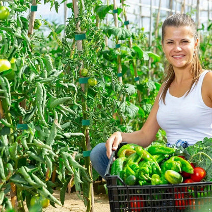 Gartenband, Nylon-Kabelbinder für Pflanzen, Blumen, wachsend, Klettern, wiederverwendbare Pflanzenstütze, Klettverschluss, Gartenzubehör