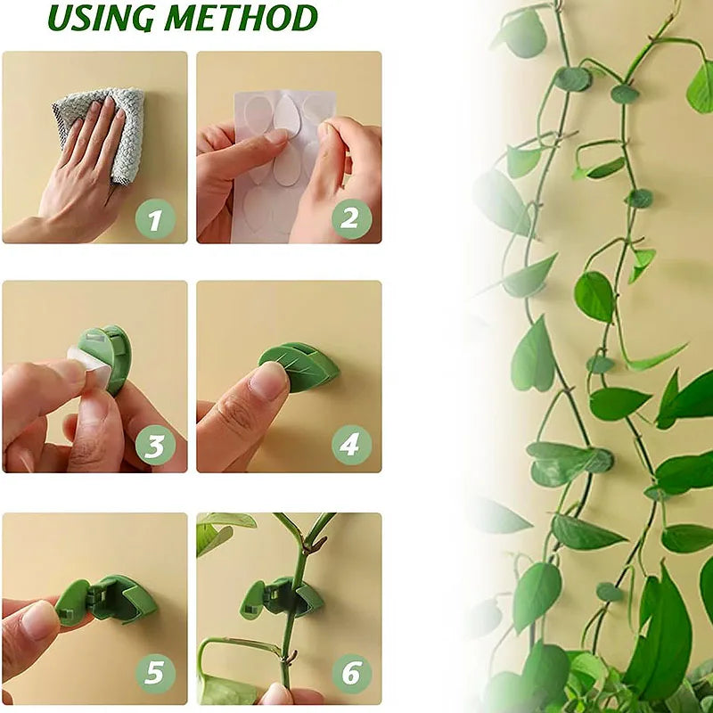 10/30/50Pcs-Home Garten Pflanze Klettern Wand Halterung Clips Rattan Reben Fixer Selbst-Kleber anlage Klettern Wand Feste Schnalle Haken