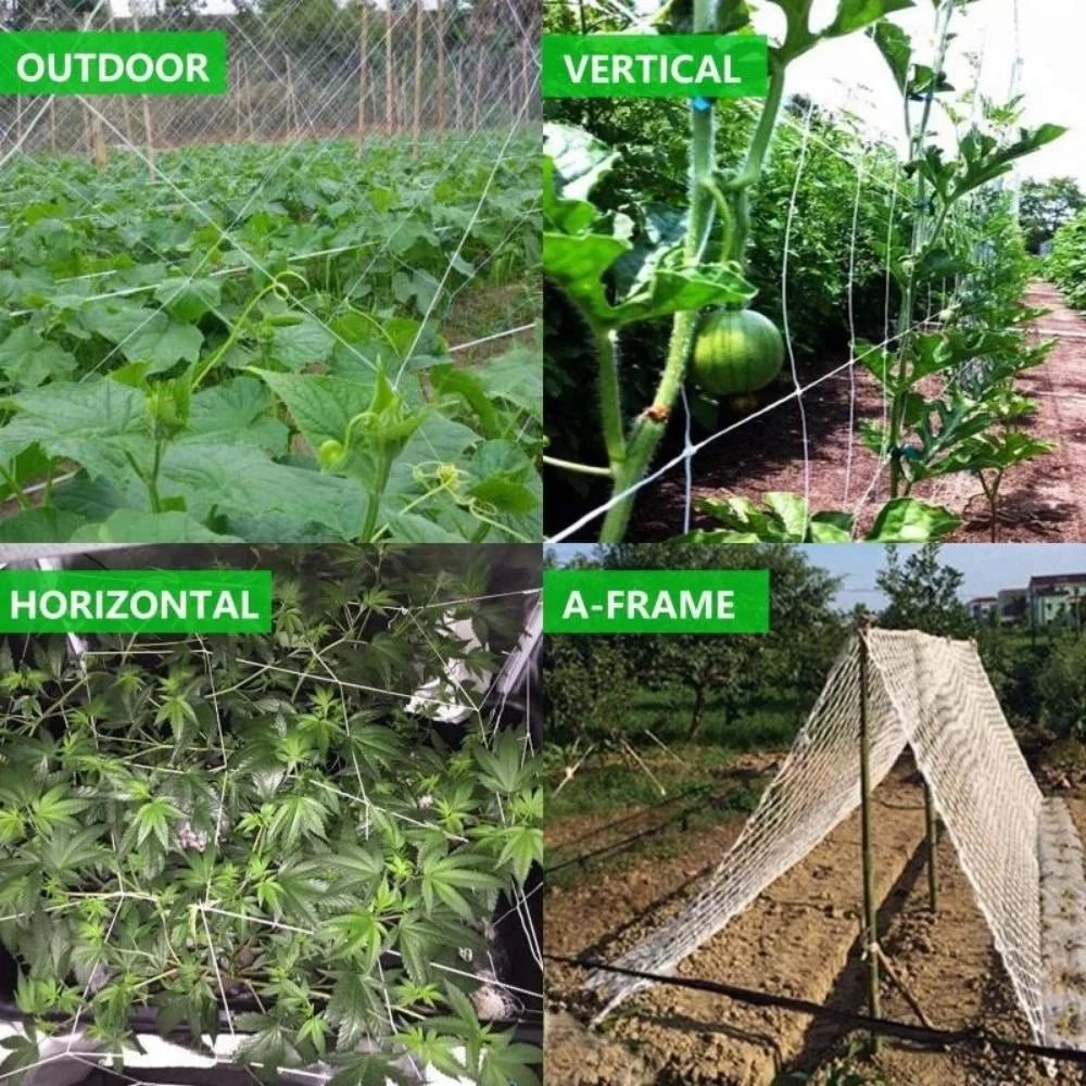 Kletternetz für Gartenbaupflanzen, gewebtes Netz aus Polyester, geeignet für andere Kletterpflanzen wie Tomaten, Bohnen, Trauben usw