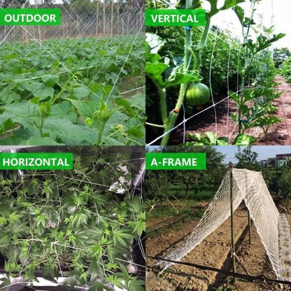 Kletternetz für Gartenbaupflanzen, gewebtes Netz aus Polyester, geeignet für andere Kletterpflanzen wie Tomaten, Bohnen, Trauben usw