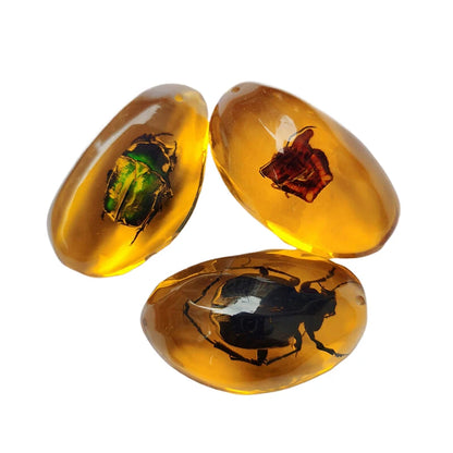 Insekten Bernstein Edelstein DIY Handwerk Geschenk Insekten Bernstein Edelstein Skorpion natürliche und mineralische Steine Home Decor