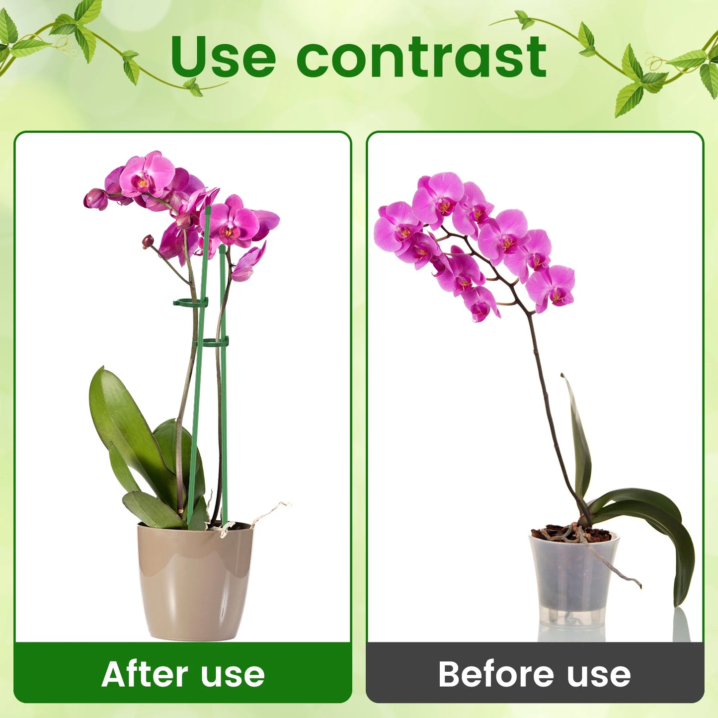 Pflanzenstützpfähle, verstellbare Pflanzenstützreifen mit einzelnem Stiel und Ring, Garten-Einzelstange, Amaryllis-Pflanzenstab für den Innenbereich