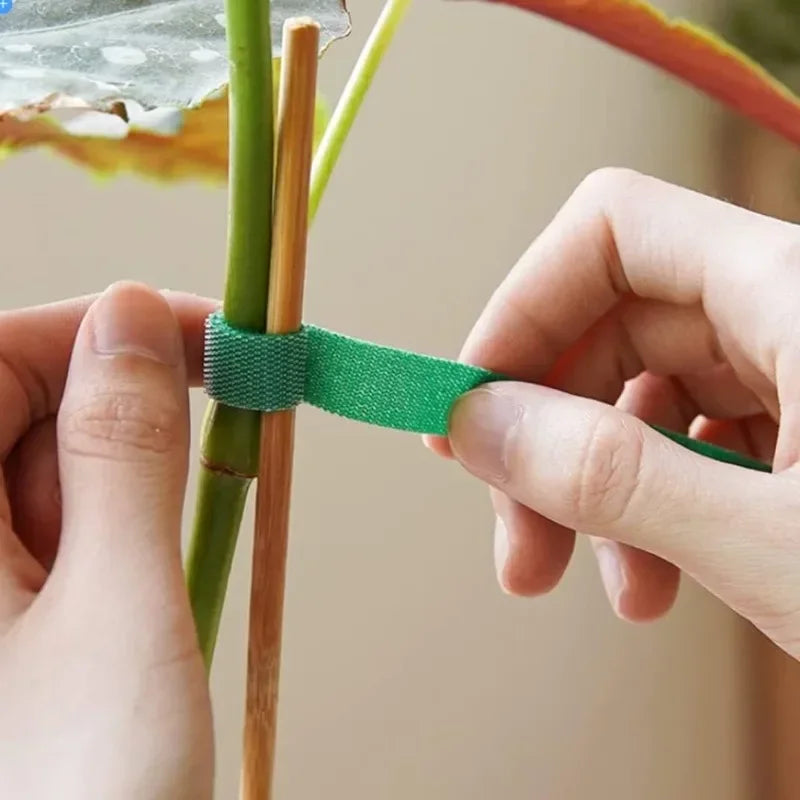 20/2 m Nylon-Pflanzenbinder, Pflanzenverband, Hakenschlaufe, verstellbare Pflanzenunterstützung, wiederverwendbares Verschlussband für Hausgarten-Zubehör